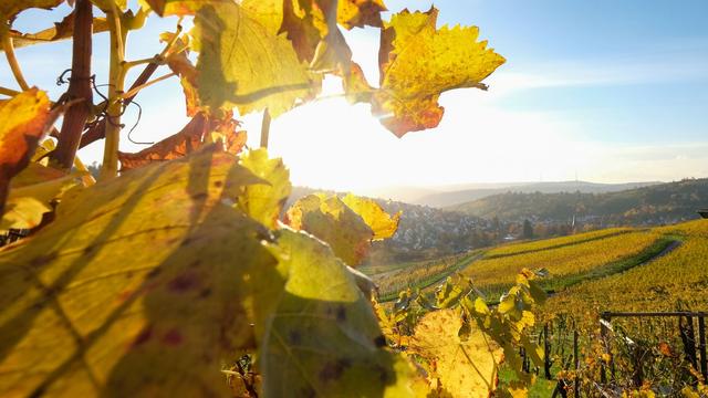 Wetter: Nach viel Regen: Spätsommer in Baden-Württemberg