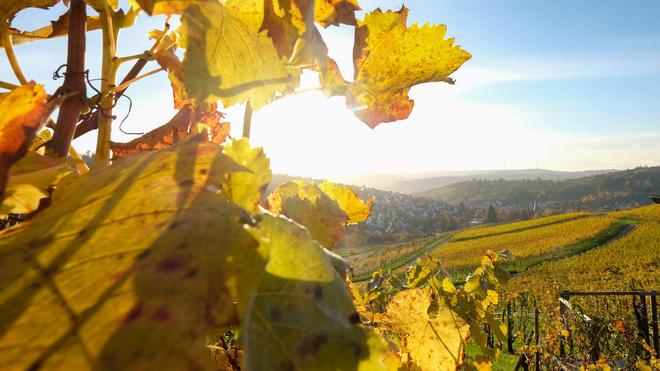 Wetter: In Baden-Württemberg können sich die Menschen auf spätsommerliche Tage einstellen. (Archivfoto)