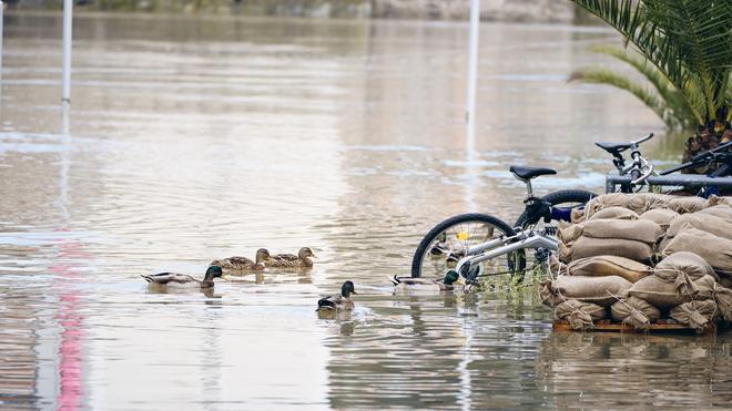 Sturm: Der Wasserstand der Donau sinkt in Passau.