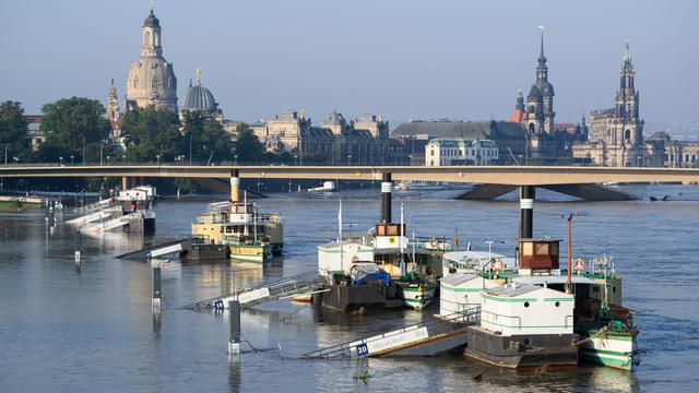 Proteste für Klimaschutz: Fridays for Future ruft zum Klimastreik auch in Dresden auf