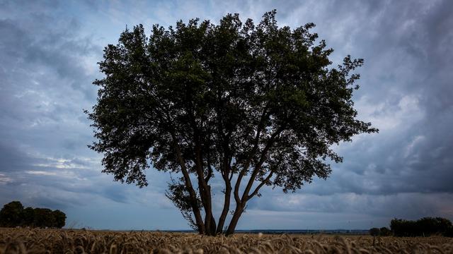 Kühlere Temperaturen: Wetterwechsel: Es wird herbstlicher in Niedersachsen