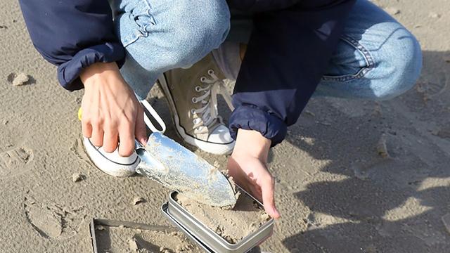 Bürgerforschungsprojekt: Studie untersucht Mikroplastik an deutschen Küsten