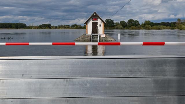 Überflutungsgefahr: Hochwasser in Brandenburg - Erste Pegelstände sinken wieder