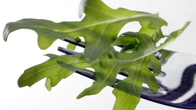 Food Warning: RKI Reports Salmonella Outbreak - Pathogen in Arugula?