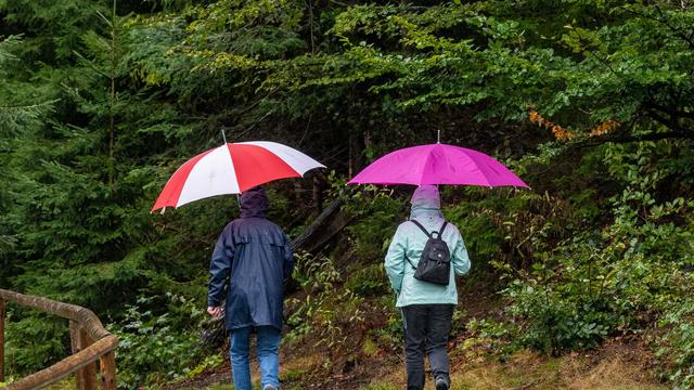 Wetter: Oktoberbeginn in Bayern wird regnerisch