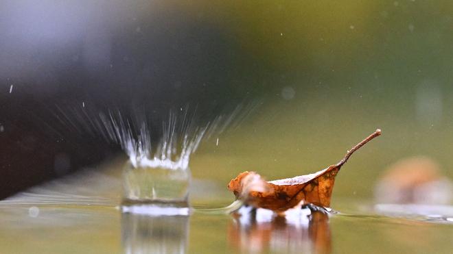 Herbstwetter: In Baden-Württemberg is er voldoende ruimte om te genieten en te regenen. (Symbool afbeelding)