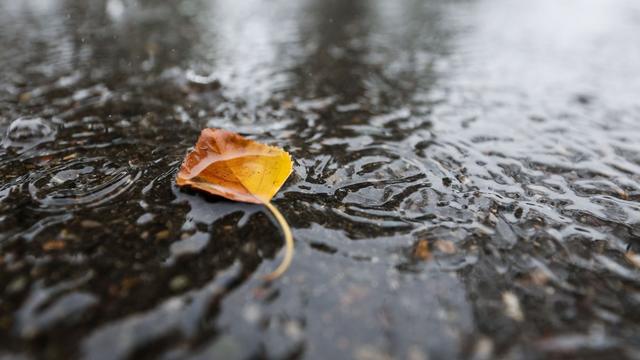 Wetter: Herbstliches Schmuddelwetter in Hessen