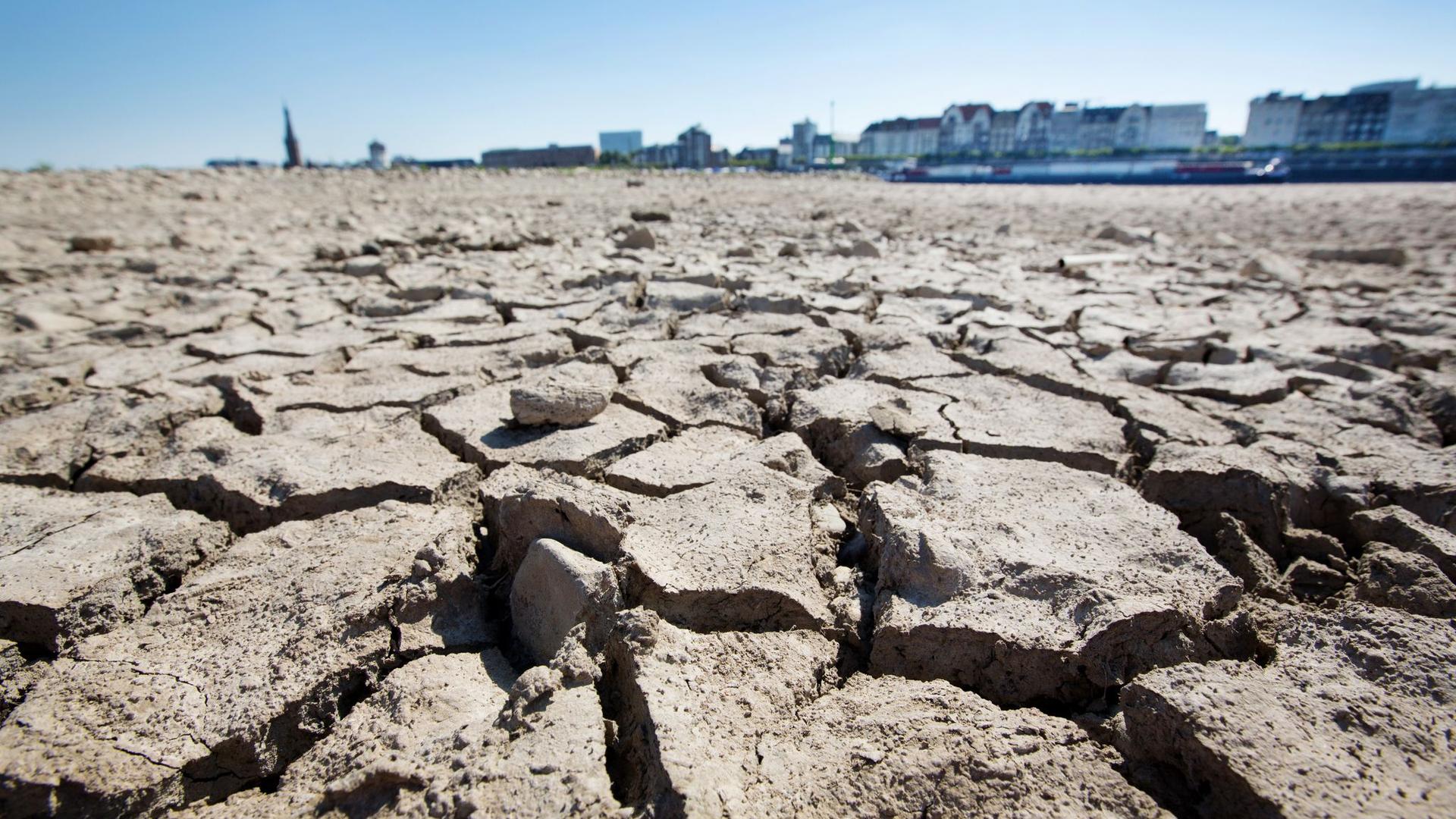 Klimaanpassungsstrategie: NRW setzt auf 110 Maßnahmen gegen Folgen des Klimawandels