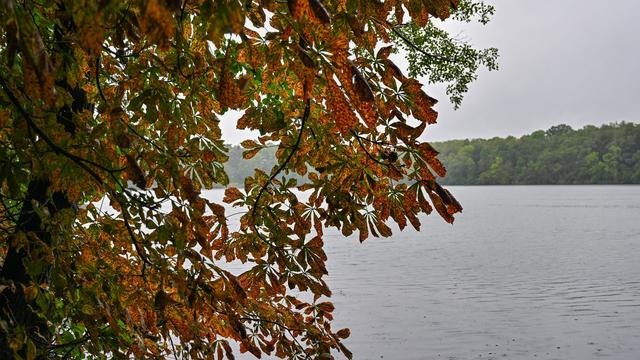 Wetter: Regen und Wolken in Berlin und Brandenburg - teils Gewitter