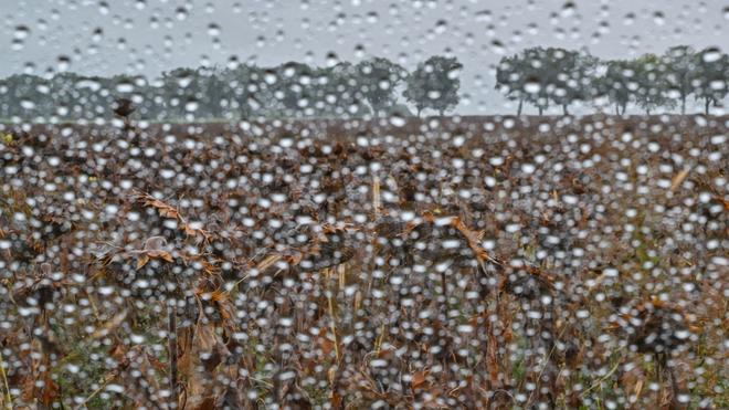 Wettervorhersage: In Südbrandenburg is er een kleine Gewitterneigung. (archiefafbeelding)