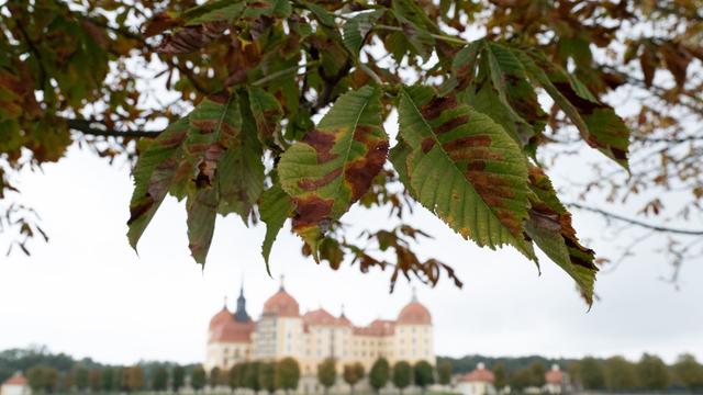 Wetter: Ruhiges Herbstwochenende steht bevor