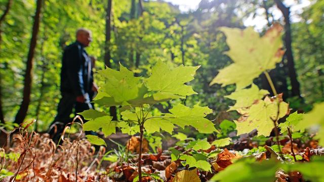 Wetter: Höchstwerte von bis zu 16 Grad am Wochenende