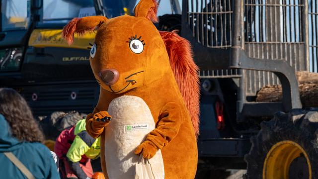 Agrarwirtschaft: Minister: Gute Getreideernte - Erntedankfest in Stralsund