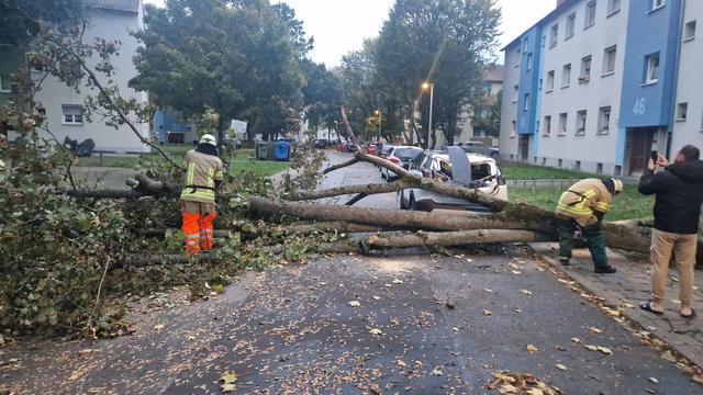 Wetter: Nach dem Sturm kommen Regen und Gewitter