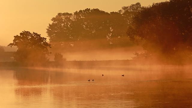 Wetter: Ruhiges Herbstwetter in Sachsen-Anhalt - nachts Bodenfrost