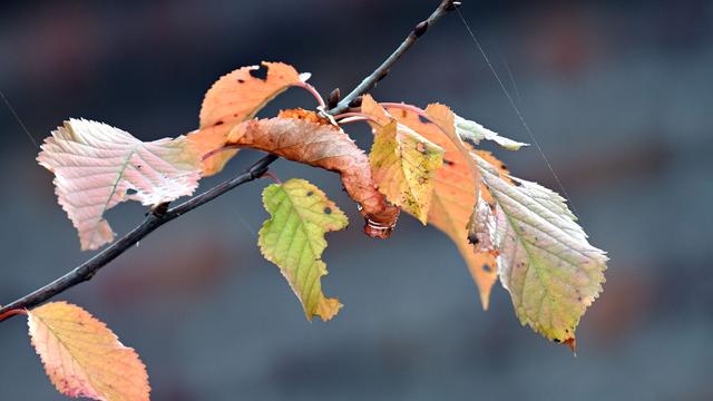 Wetter zum Ferienbeginn: Wolken und Temperaturen unter 15 Grad in Nordrhein-Westfalen