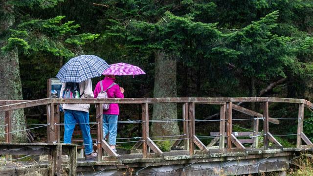 Wetter: Regen und stürmisches Wetter in Bayern erwartet