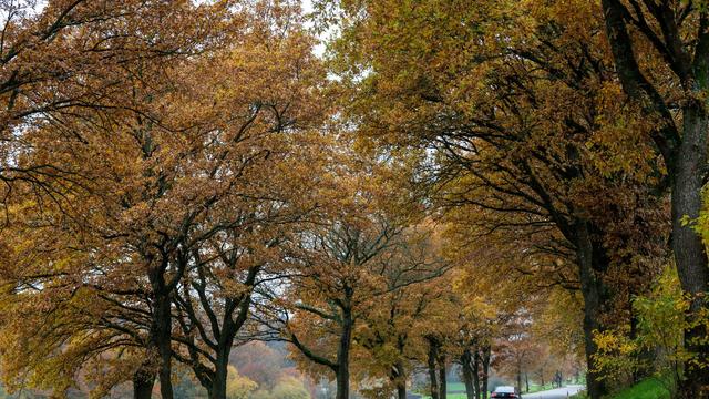 Wetter: Sonne, Wolken und Regen in Rheinland-Pfalz und im Saarland