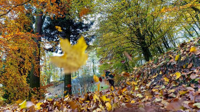 Wetter: Wechselhaftes Wetter in Hessen erwartet