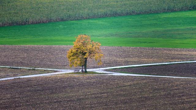 Fotografie: Bilder des Tages