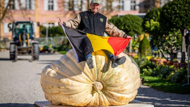 Europameisterschaft: Der fetteste Kürbis Europas kommt dieses Jahr aus Belgien