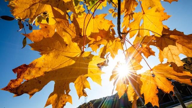 Wetter: Nach Regen wird die Sonne in Baden-Württemberg erwartet