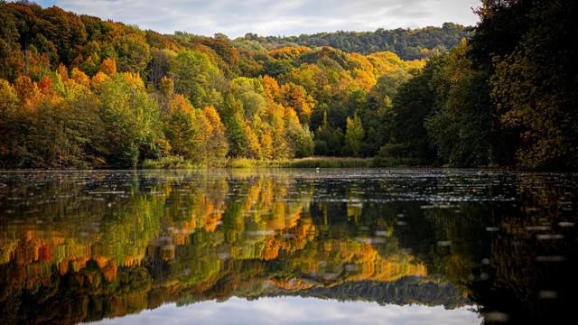 Temperaturen steigen an: Nach Sturmböen ruhigeres Wetter in Niedersachsen