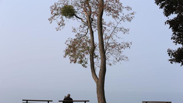 Wetter: Jetzt kommen sommerliche Temperaturen - und Nebelschwaden