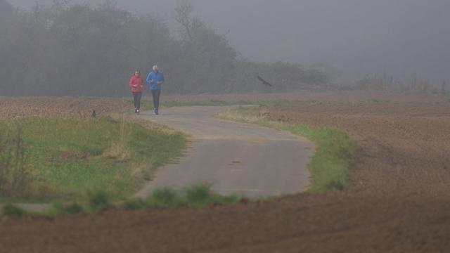 Wetter: Neblig-trübes und herbstliches Wetter - ab Mittwoch milder