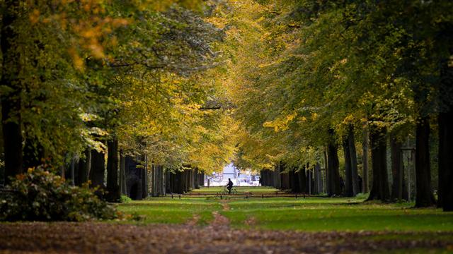 Vorhersage: Mildes Herbstwetter in Berlin und Brandenburg