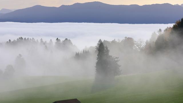 Wetter: Es wird nebelig in Bayern