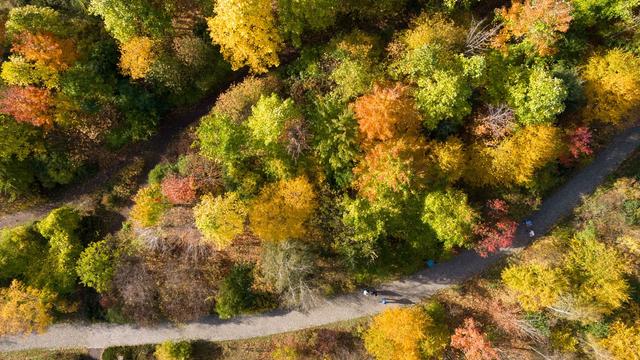 Goldener Oktober: Goldenes Oktober-Wochenende in Sachsen