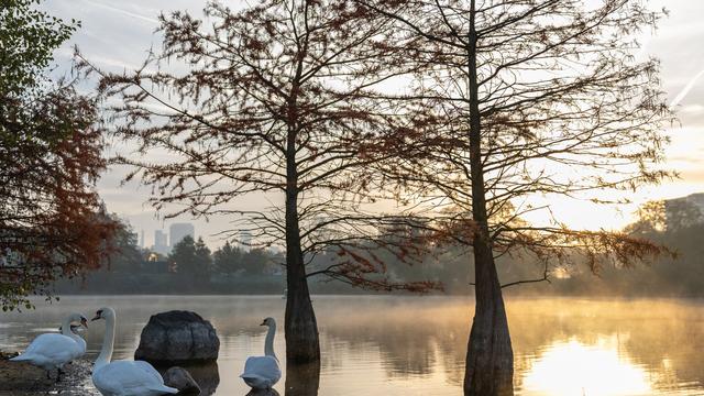 Wetterprognose: Mildes und teils sonniges Wetter in Hessen erwartet