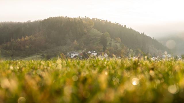 Wetter: Sonne und Nebel in Baden-Württemberg erwartet