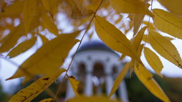 Wetter: Es wird herbstlich und mild in der neuen Woche