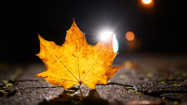 Wetter: Milde Herbstwoche in Hessen erwartet