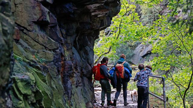 Tourismus: Sachsen-Anhalt lockt mehr Urlauber