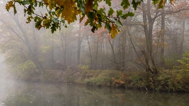 Wetter: Goldener Herbst am Donnerstag