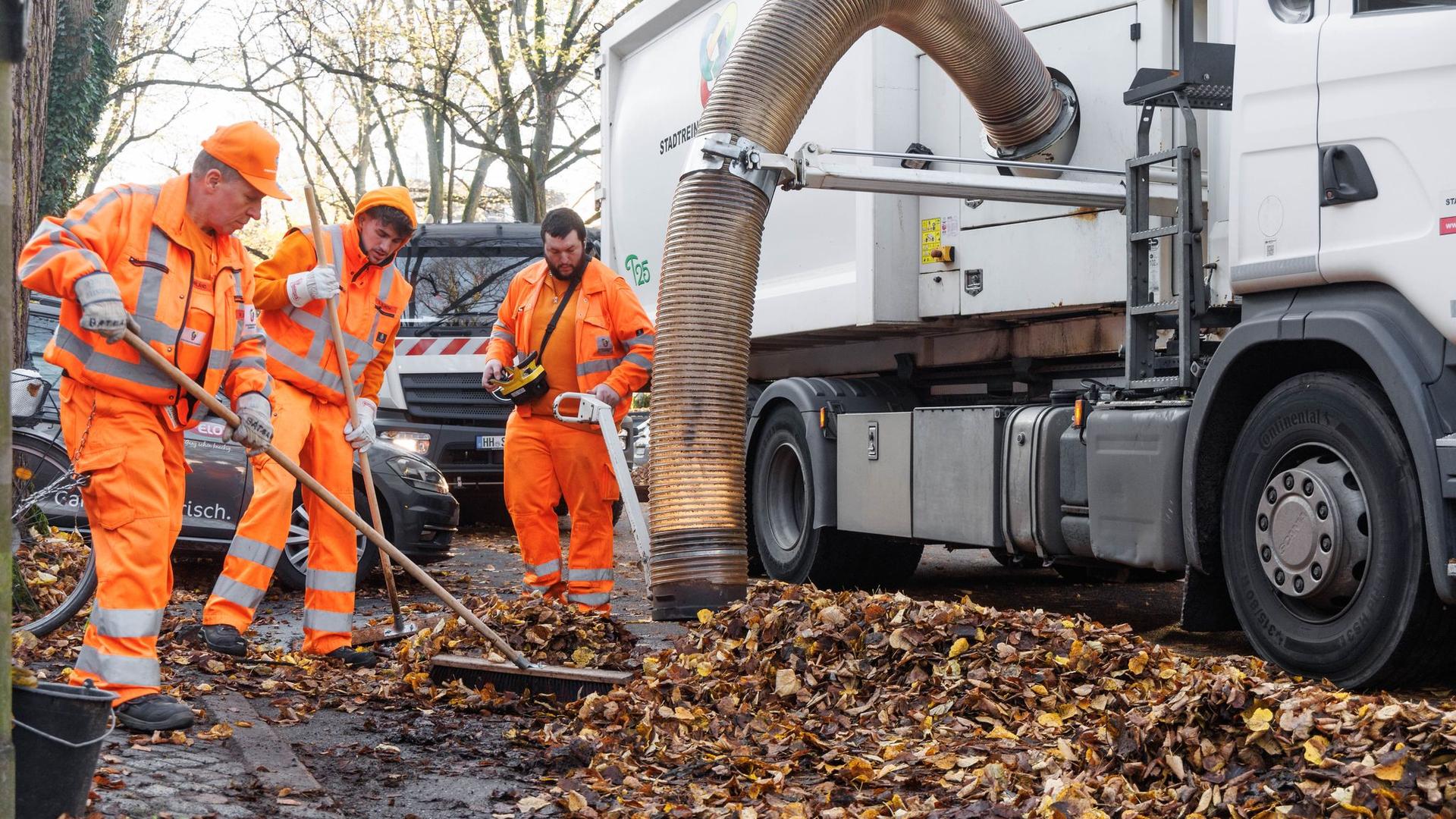 Herbst in Hamburg: 20.000 Tonnen Laub - Stadtreinigung läutet Hochsaison ein