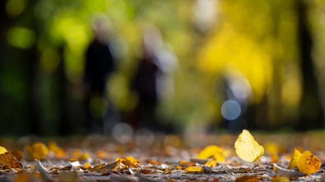 Wetter: Sonne und milde Temperaturen in Berlin und Brandenburg