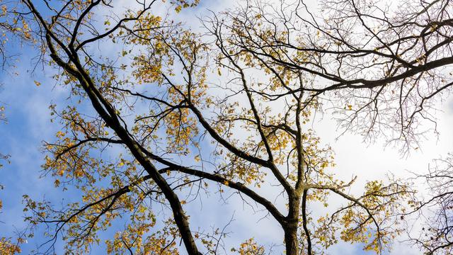 Wetter in Nordrhein-Westfalen: Sonnenschein und teilweise über 20 Grad - Sonntag regnerisch