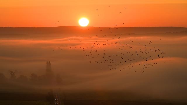 Wetter: Die Aussichten für das Wochenende: Nebel und Sonne