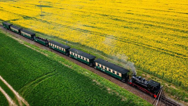 Schmalspurbahn: Rügen: Auto kollidiert mit «Rasendem Roland»