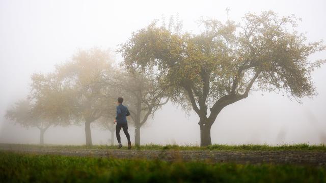 Wetterprognose: Milde Temperaturen und Nebel zum Wochenstart in Hessen