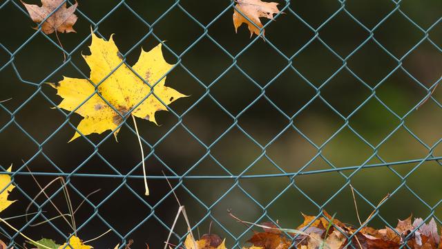 Wetter: So wird das Wetter zum Wochenstart in Baden-Württemberg