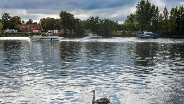 Wetter zum Wochenstart: Viele Wolken und etwas Regen bei milden Temperaturen