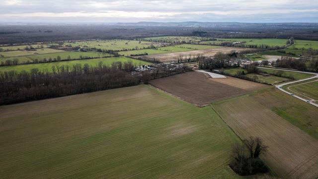 Umstrittene Rodung: Gericht: Bäume dürfen für Gasleitung gerodet werden