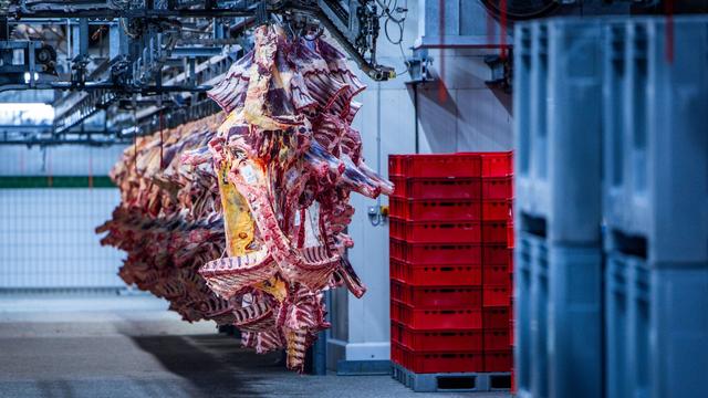 Bei Bremen: Schlachthof wegen möglicher Tierquälerei geschlossen