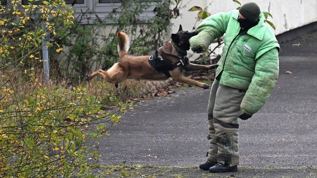 Militär: Bundeswehr bildet ukrainische Diensthundeführer aus