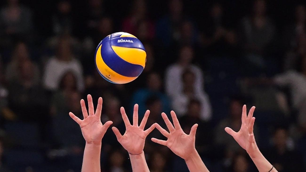 Bundesliga: Dresden volleyball players remain successful